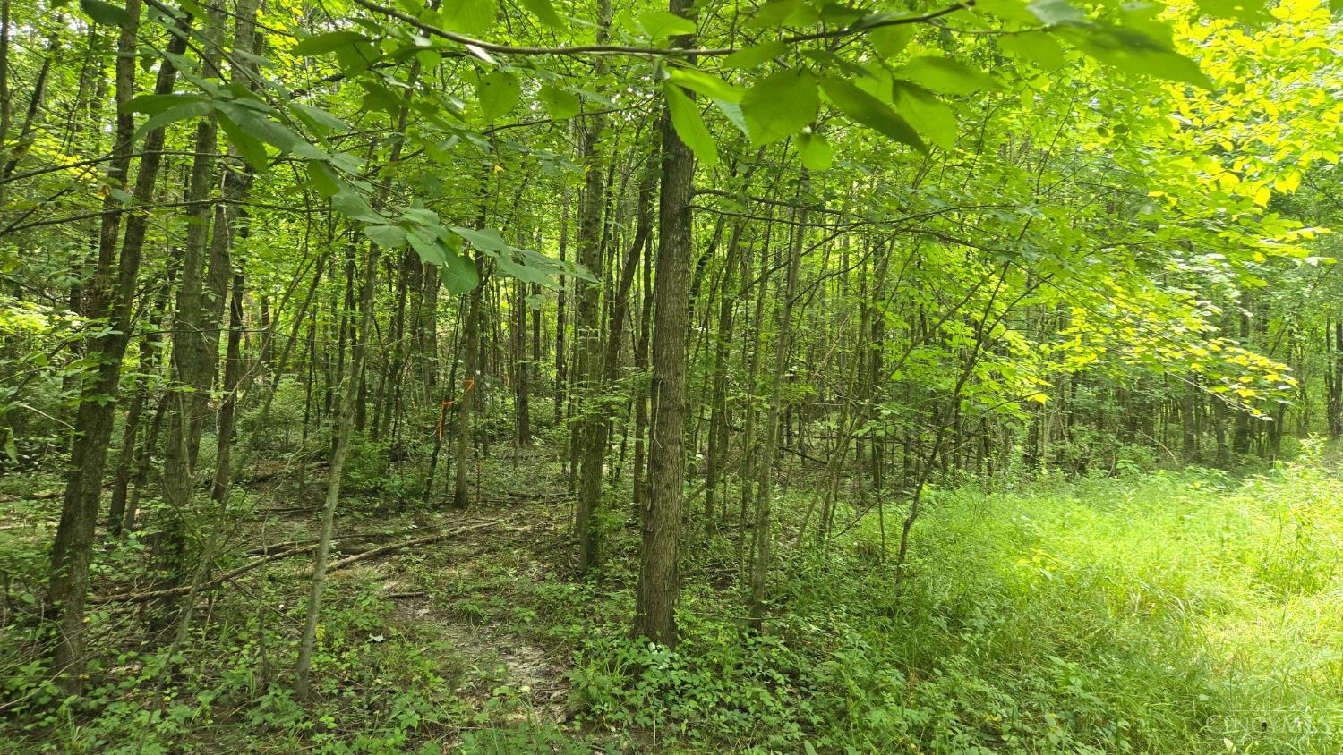 5th image of 506 Cherry St, Blanchester, OH 45107 | MLS# 1888167