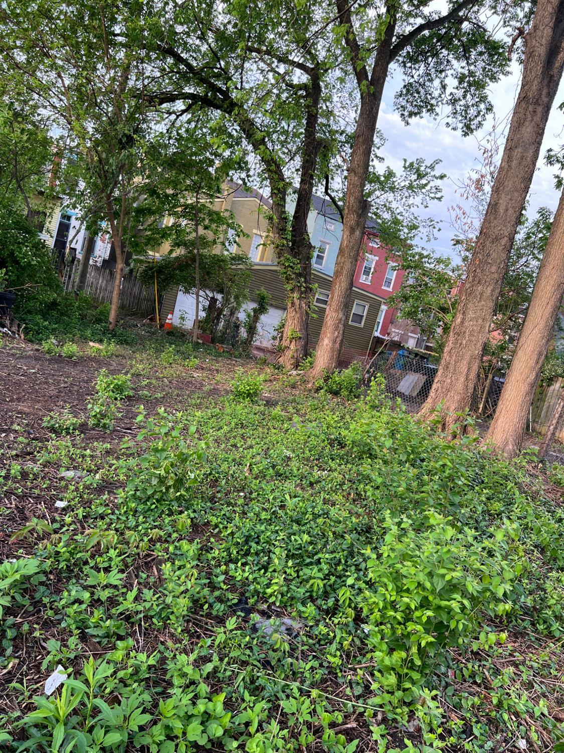 425 Whiteman Street, Cincinnati, OH, 45214 — photo 6