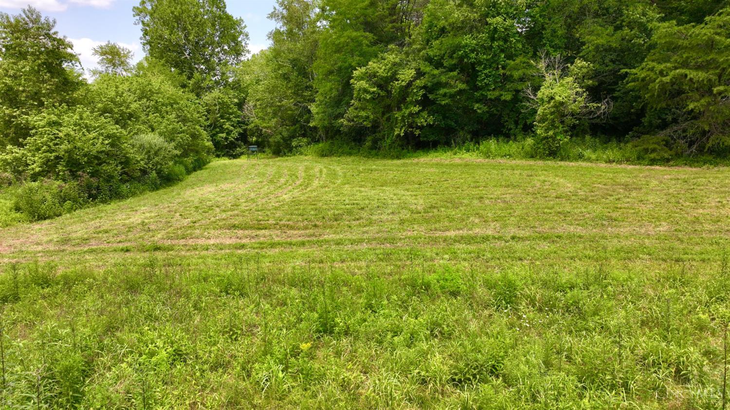 13568 St Rt 73, Franklin Twp, OH, 45660 — photo 6