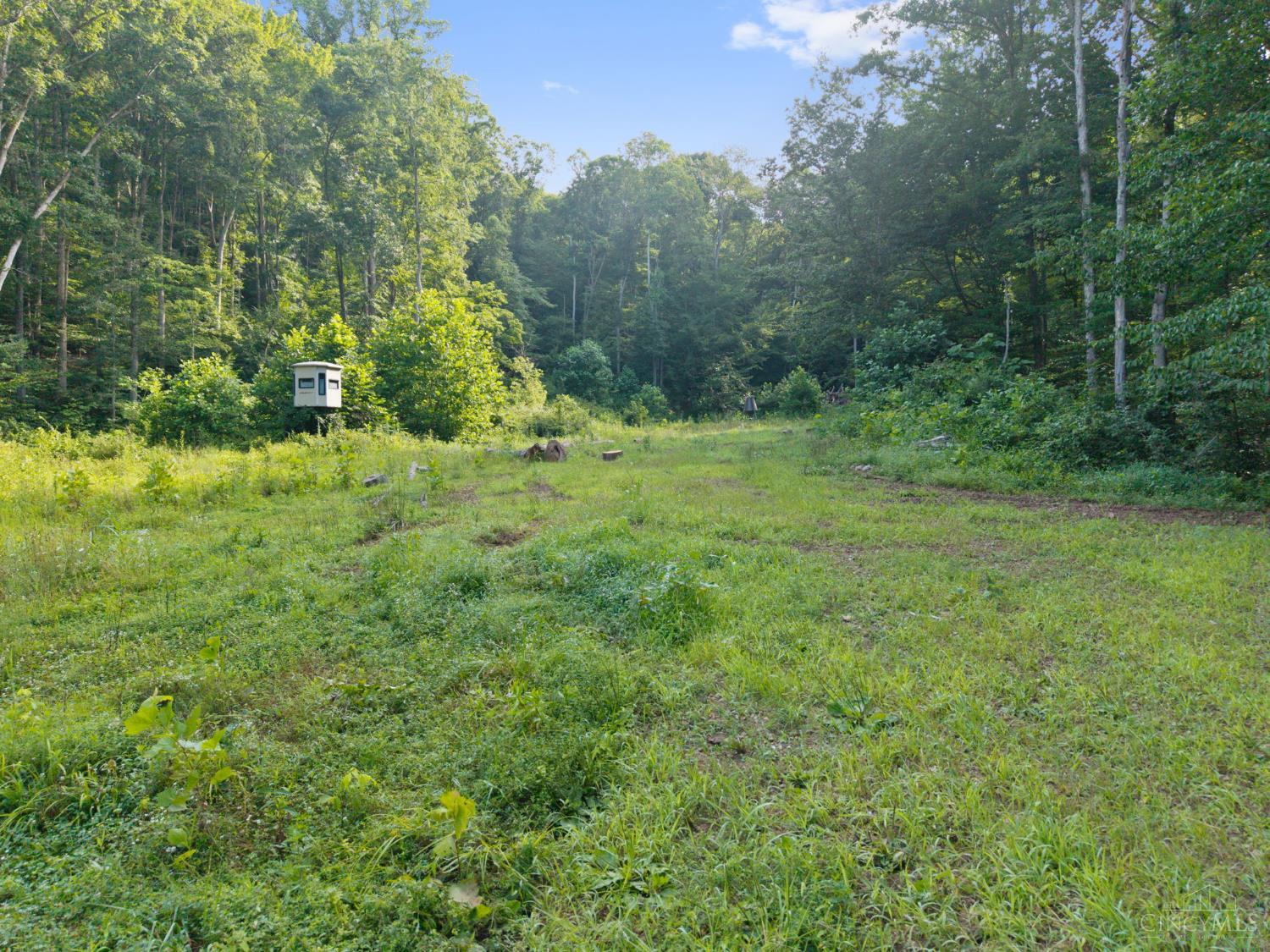 13568 St Rt 73, Franklin Twp, OH, 45660 — photo 27