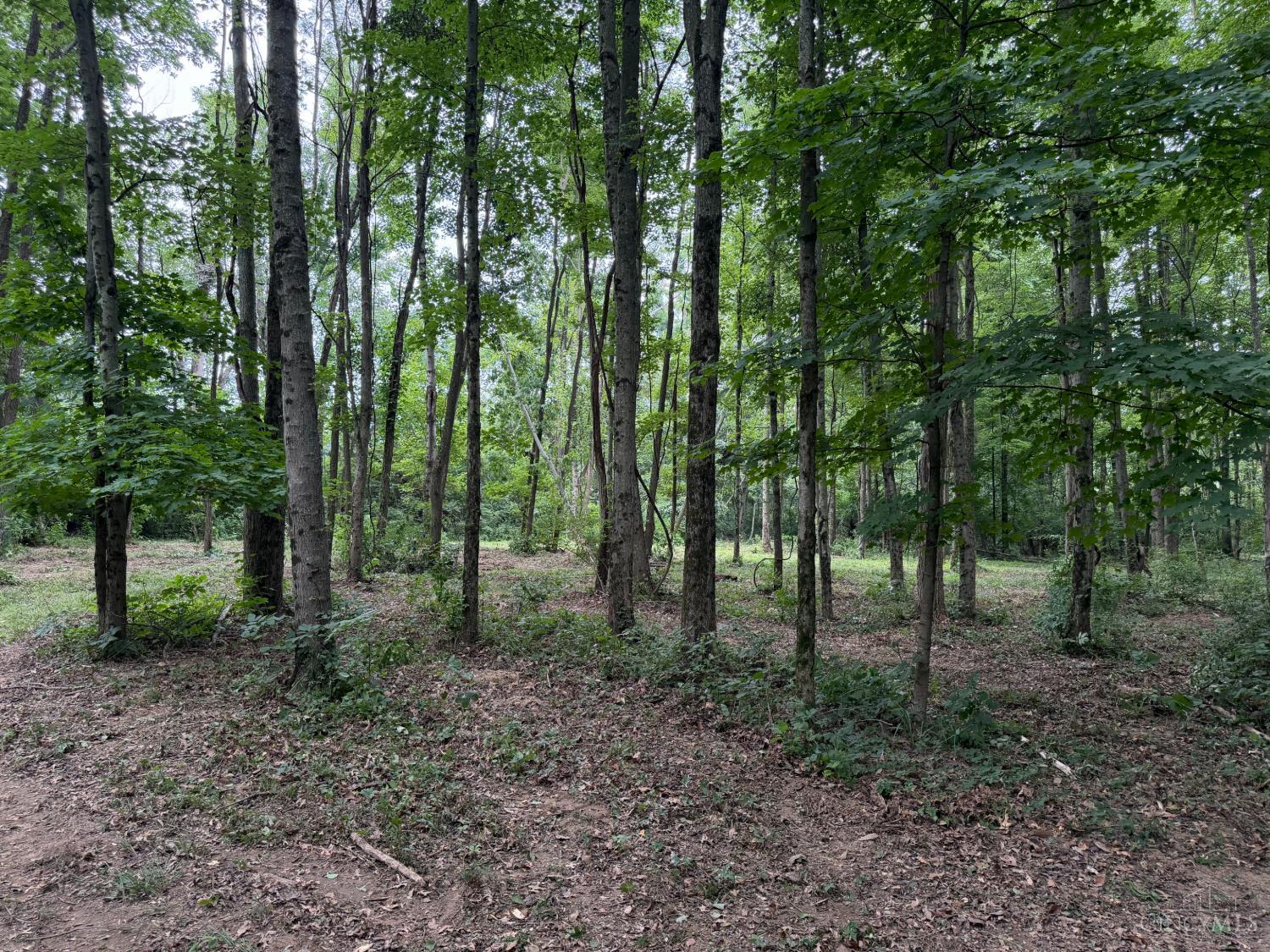 10237 Collins Riley Road, Harlan Twp, OH, 45107 — photo 11