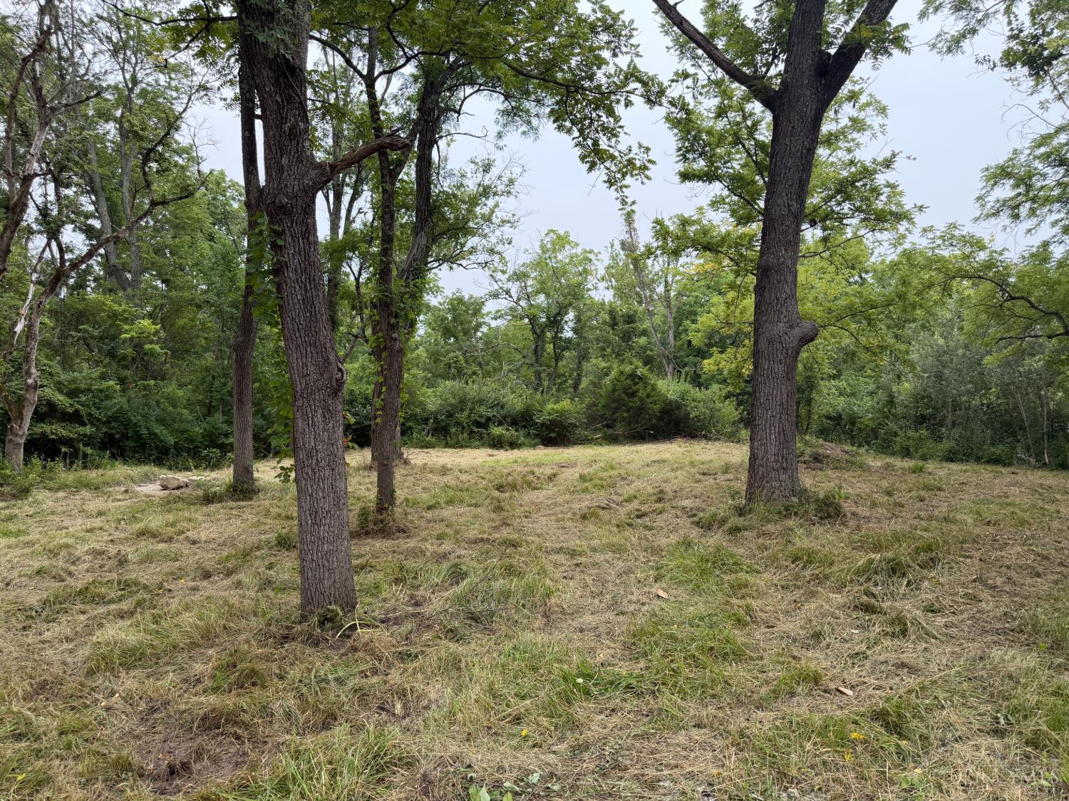 10237 Collins Riley Road, Harlan Twp, OH, 45107 — photo 3