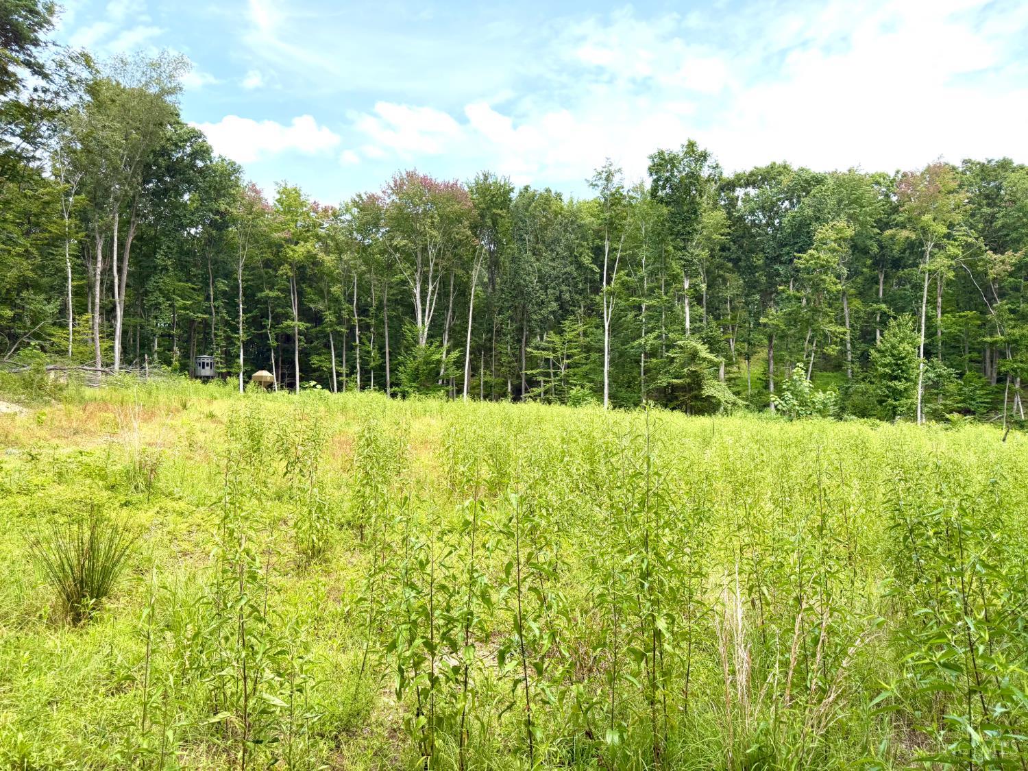 13590 St Rt 73, Franklin Twp, OH, 45660 — photo 63