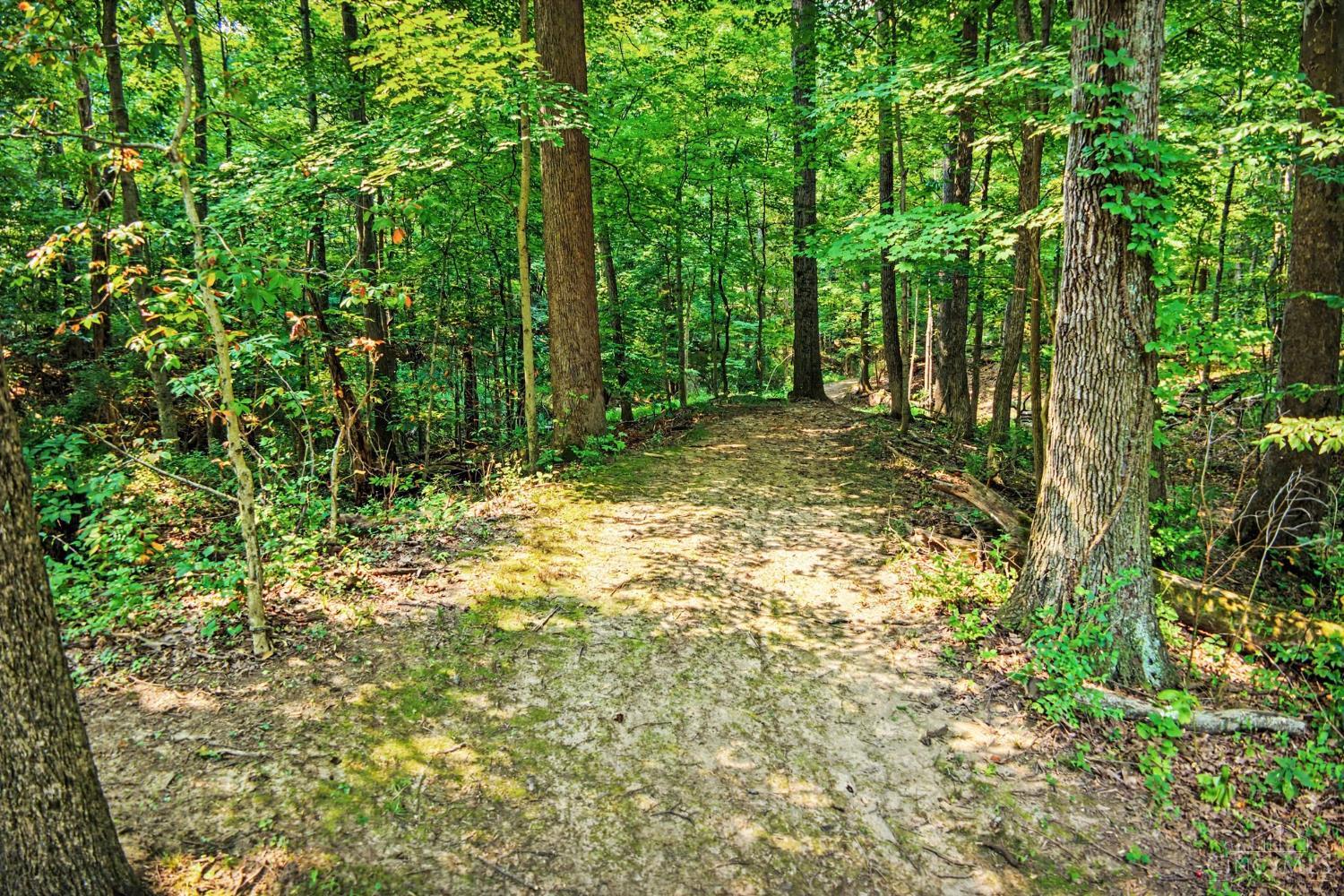 AC Smith Road, Monroe Twp, OH, 45153 — photo 13