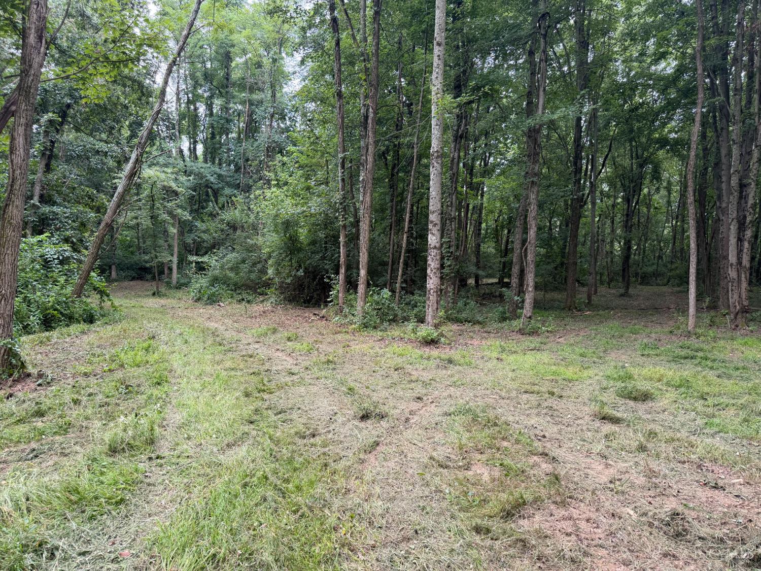 10237 Collins Riley Road, Harlan Twp, OH, 45107 — photo 12