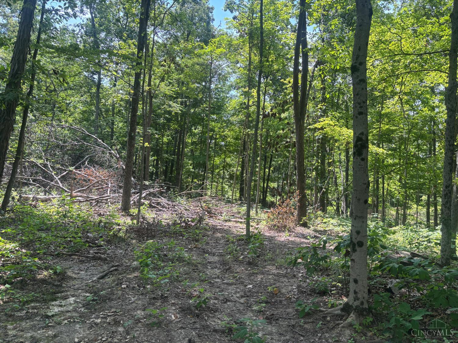 2nd image of 3 Jester Rd, Blooming Grove Twp, IN 47012 | MLS# 1888469