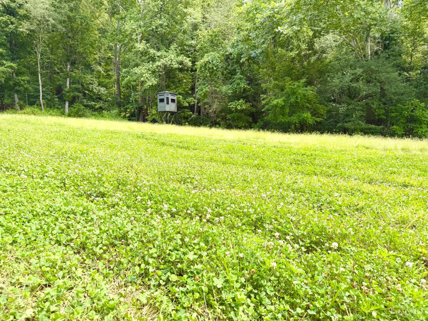 13590 St Rt 73, Franklin Twp, OH, 45660 — photo 13