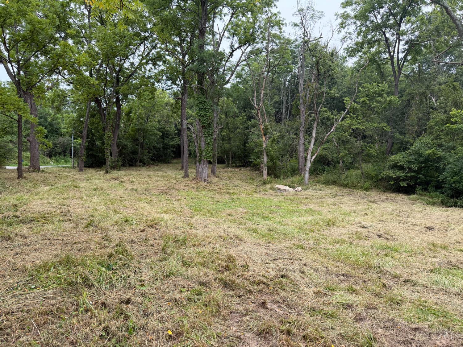 10237 Collins Riley Road, Harlan Twp, OH, 45107 — photo 6
