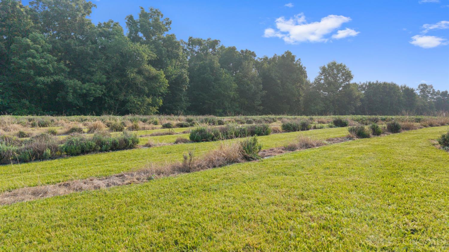 9790 Baker Hanselman Road, Franklin Twp, OH, 45121 — photo 57