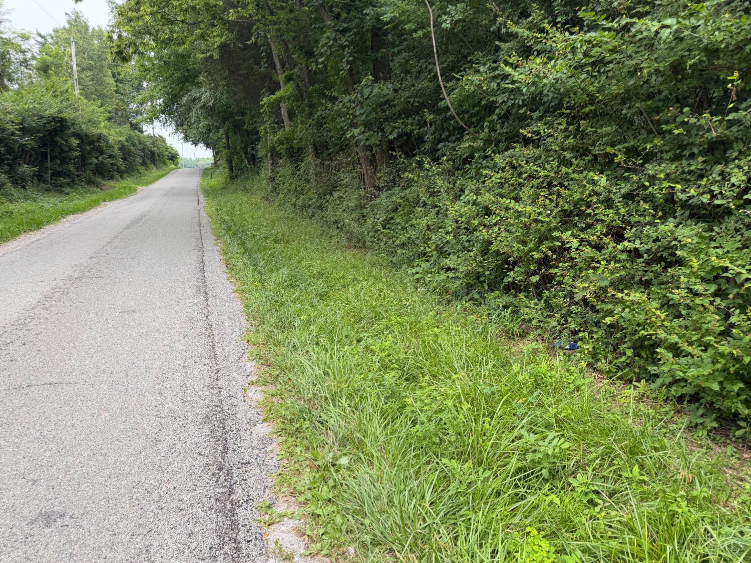 10237 Collins Riley Road, Harlan Twp, OH, 45107