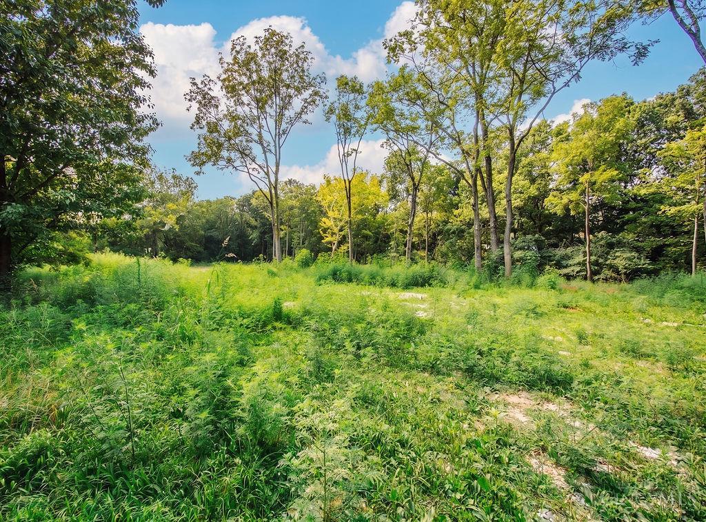 1539 Oregonia Road, Turtle Creek Twp, OH, 45036 — photo 6