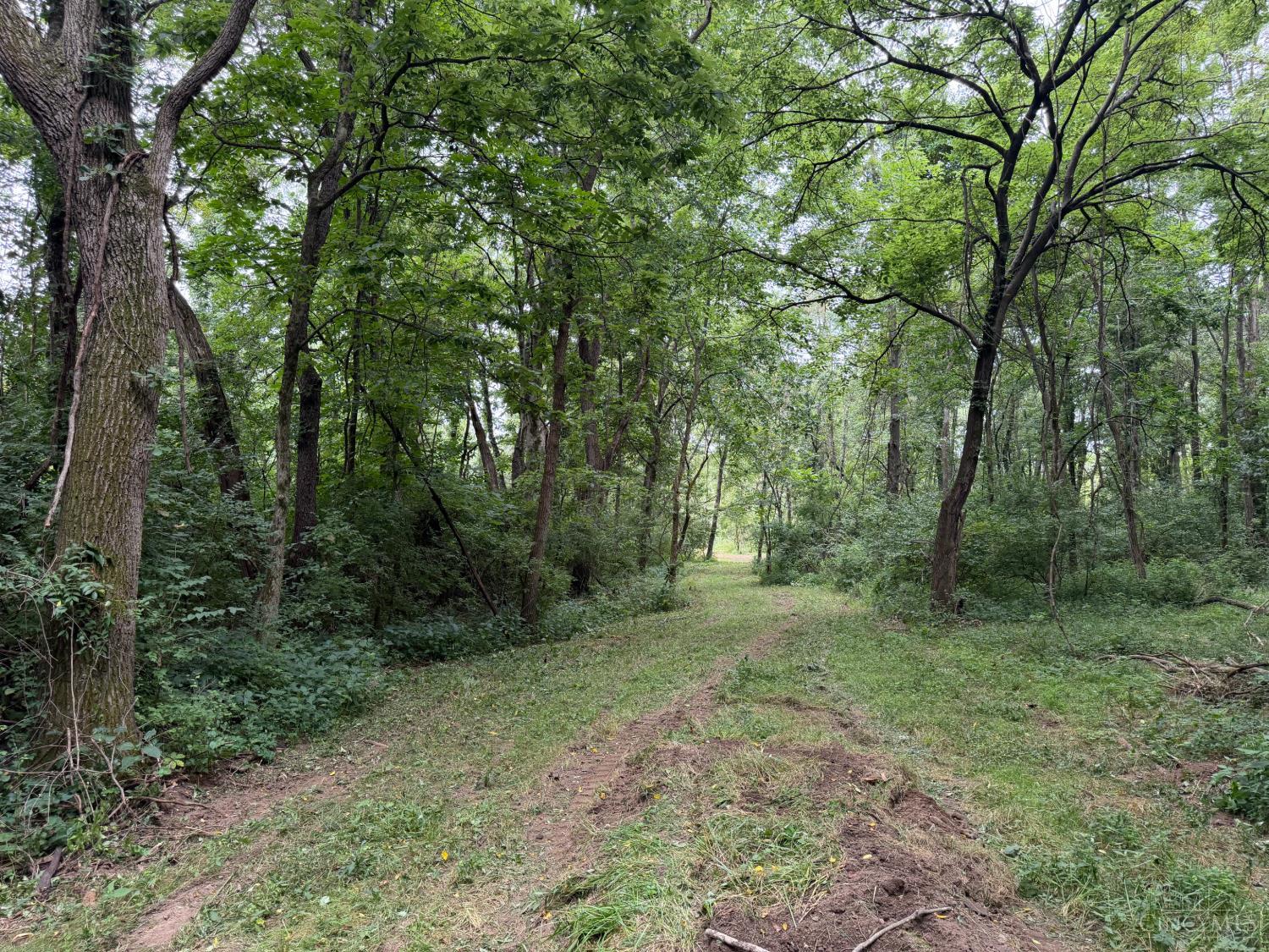 10237 Collins Riley Road, Harlan Twp, OH, 45107 — photo 13