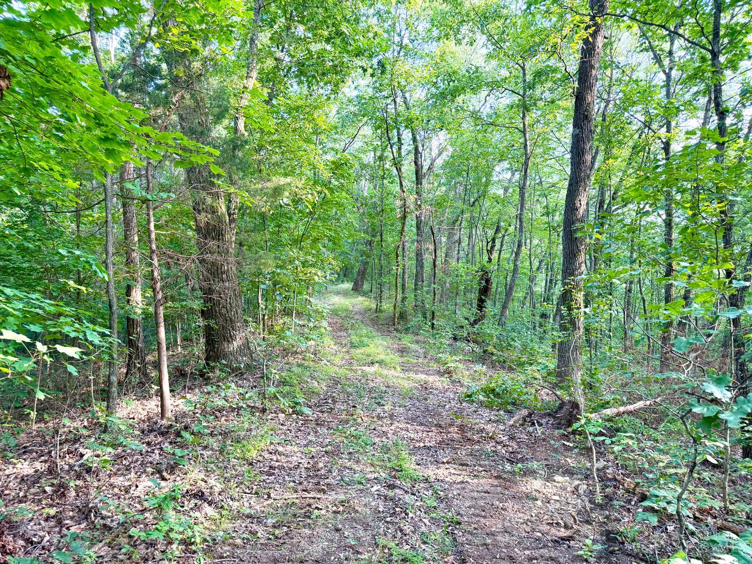 St Rt 73, Franklin Twp, OH, 45660 — photo 29