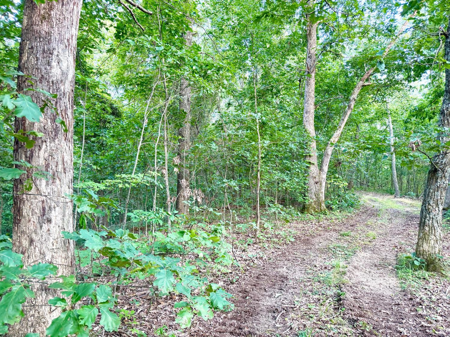 St Rt 73, Franklin Twp, OH, 45660 — photo 11