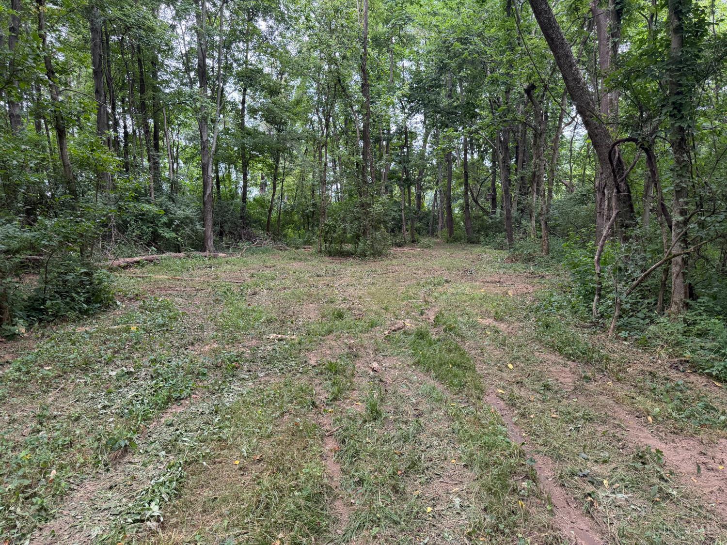 10237 Collins Riley Road, Harlan Twp, OH, 45107 — photo 5