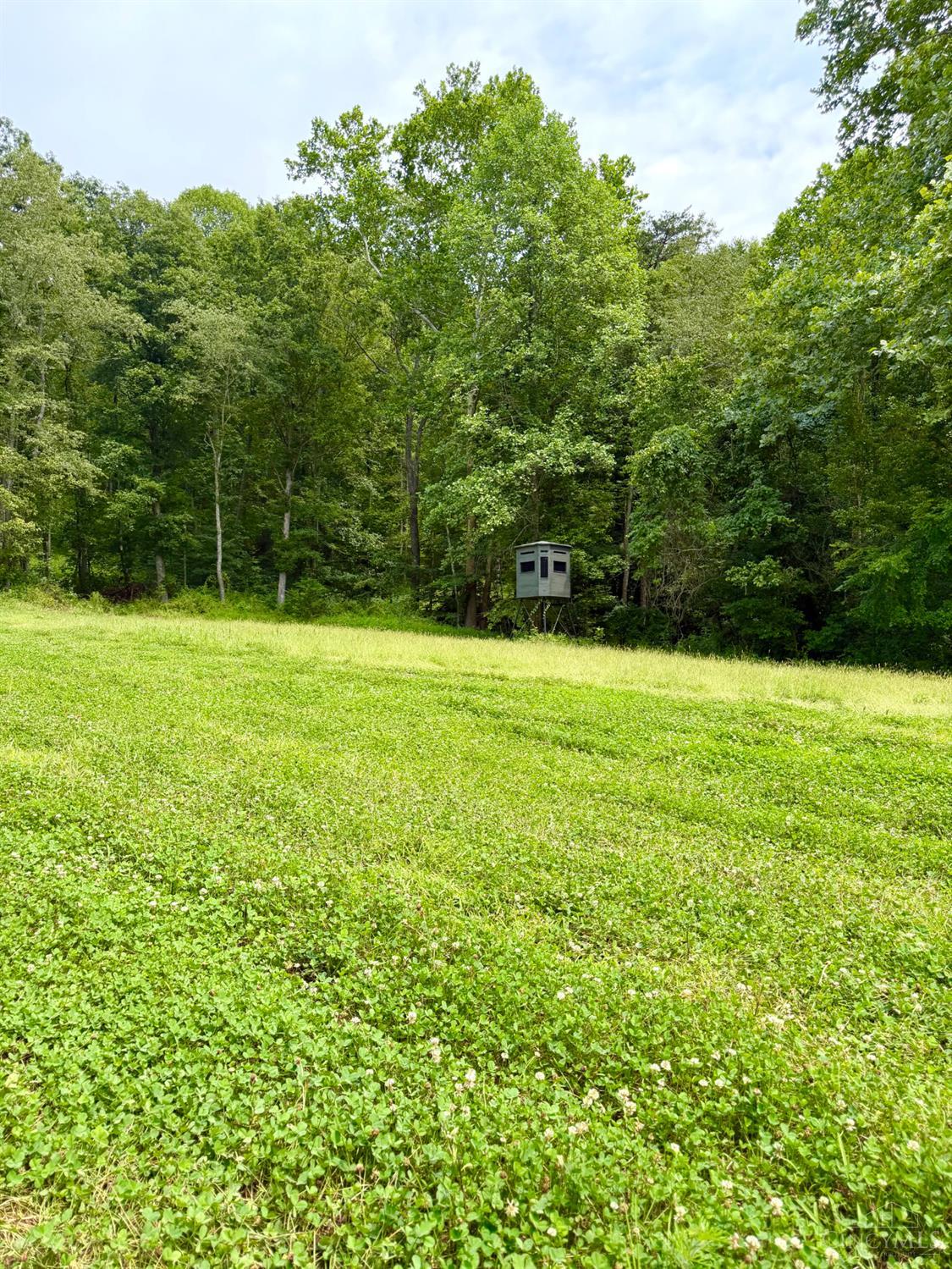 13590 St Rt 73, Franklin Twp, OH, 45660 — photo 12