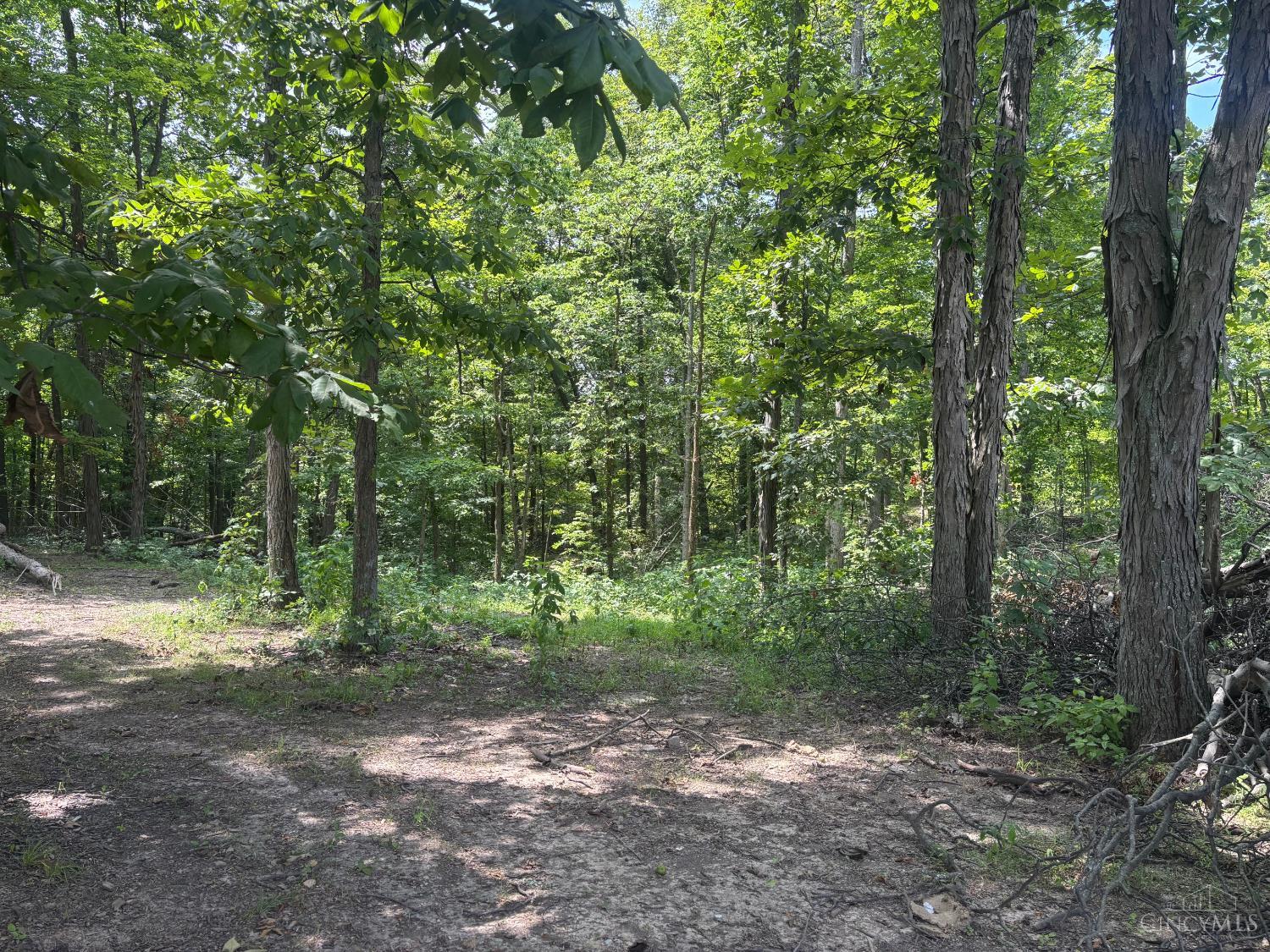 3rd image of 3 Jester Rd, Blooming Grove Twp, IN 47012 | MLS# 1888469