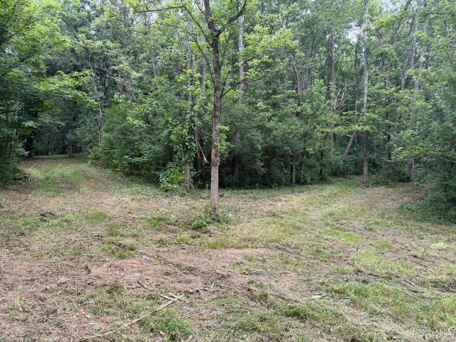 10237 Collins Riley Road, Harlan Twp, OH, 45107 — photo 7