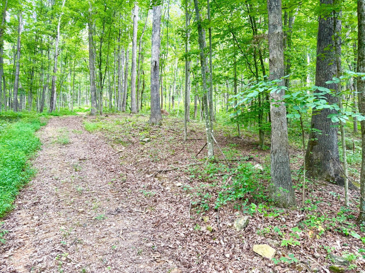 13590 St Rt 73, Franklin Twp, OH, 45660 — photo 46