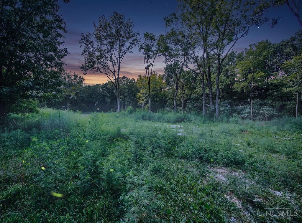 1539 Oregonia Road, Turtle Creek Twp, OH, 45036 — photo 5