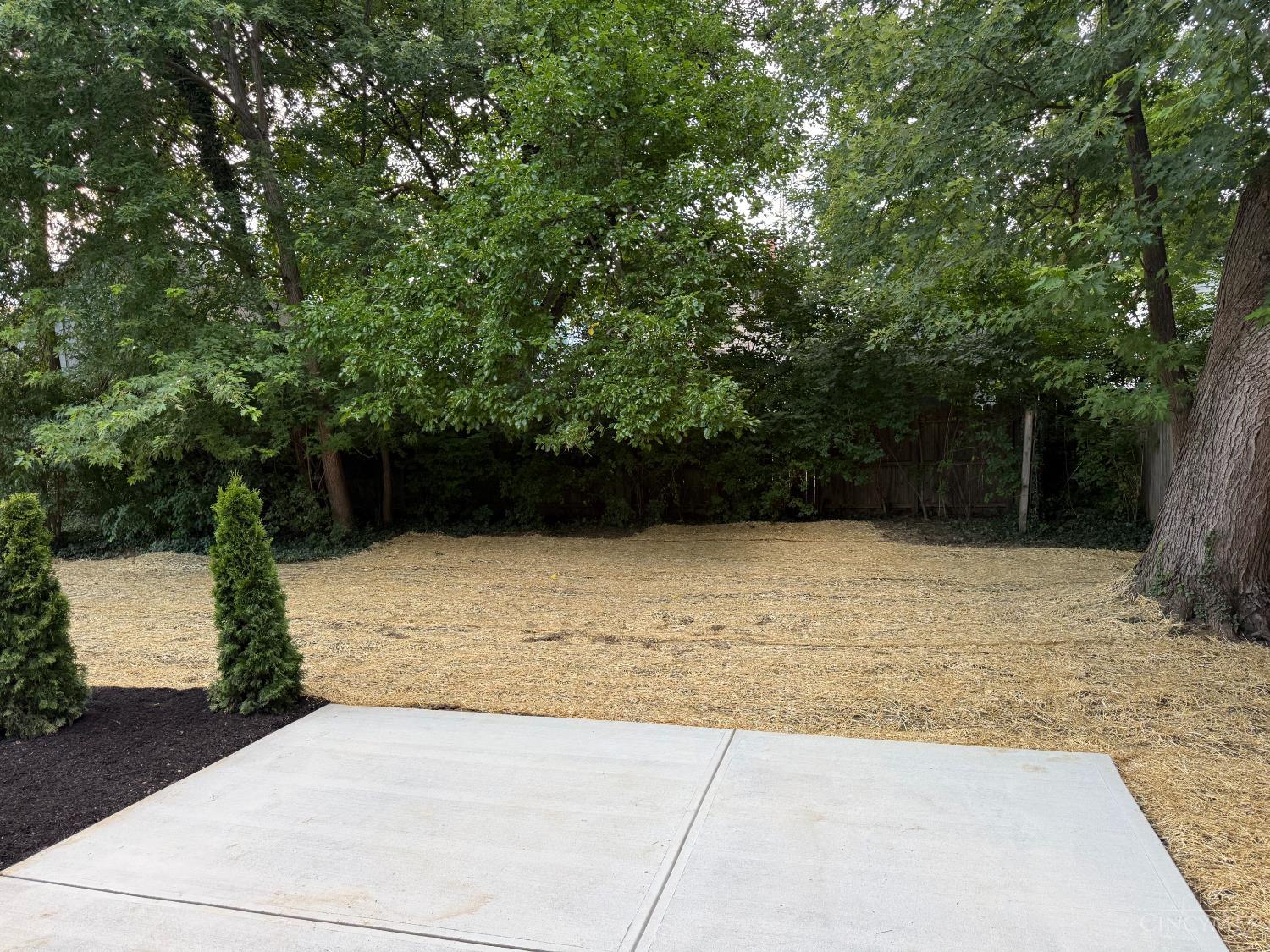 3410 Brotherton Avenue, Cincinnati, OH, 45209 — photo 15
