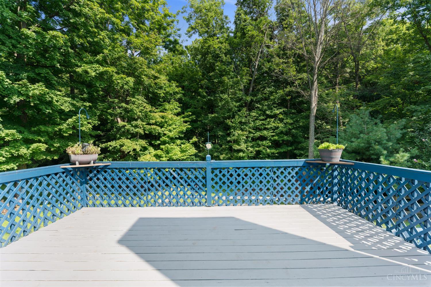 3923 Little Creek Drive, Batavia Twp, OH, 45102 — photo 41