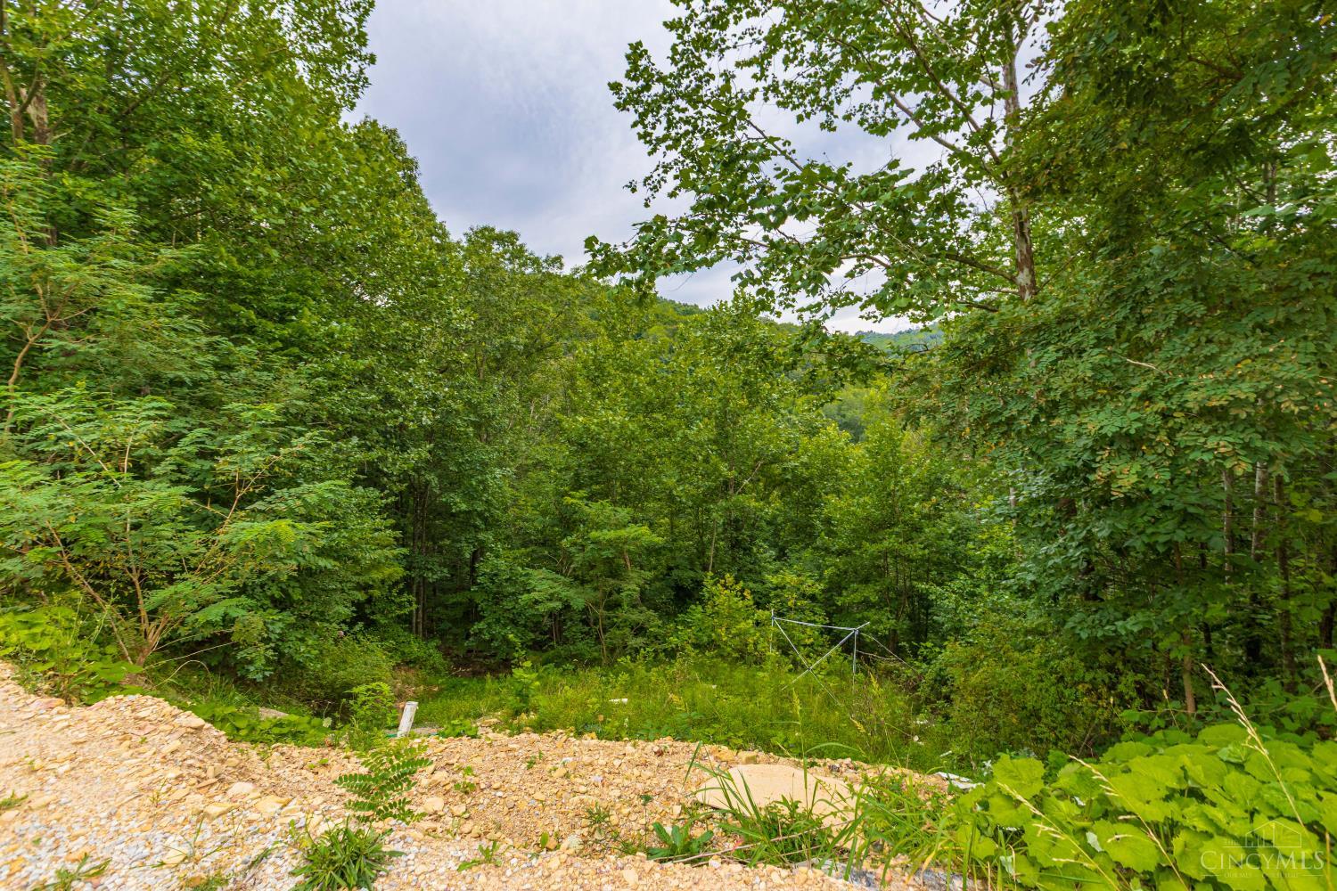 6560 Mt Unger Road, Otway, OH, 45657 — photo 20