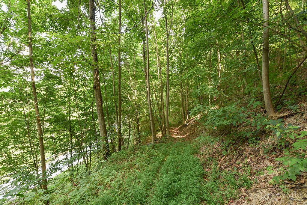 182 Sunfish Creek Road #1, Newton Twp, OH, 45661 — photo 5