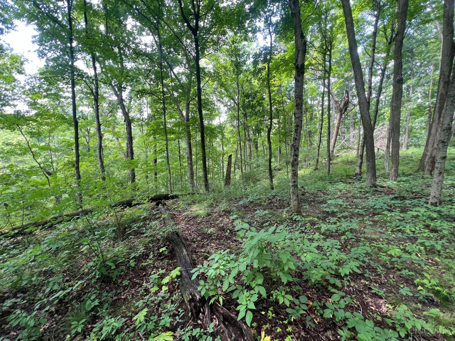 1900 Cruey Lane, Batavia Twp, OH, 45103 — photo 2