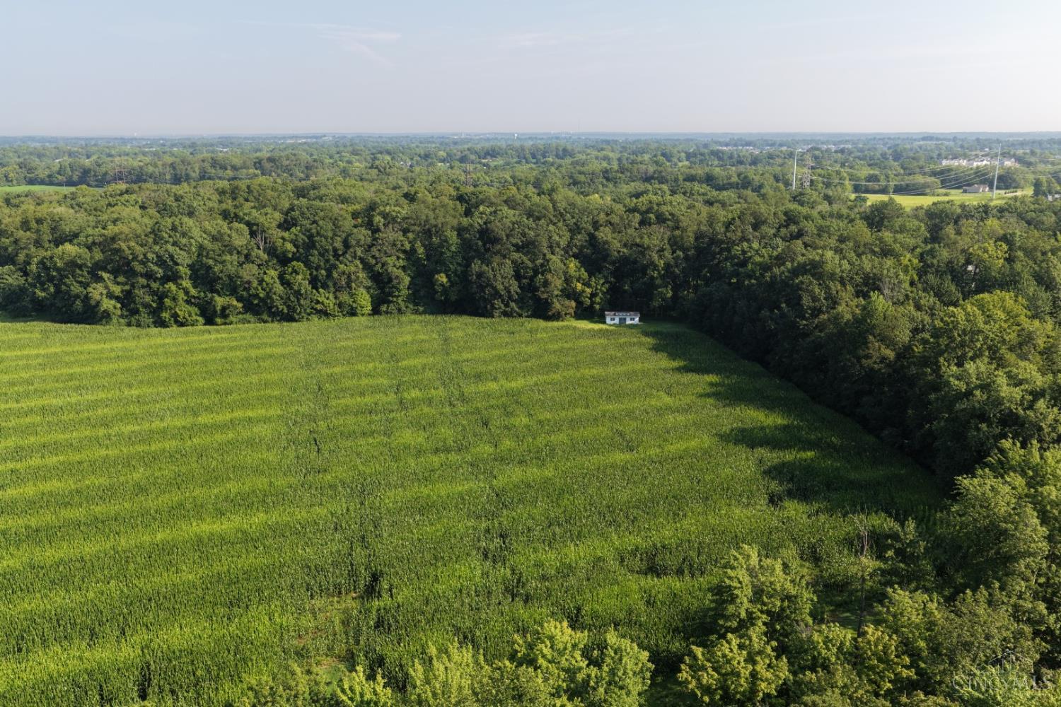 ac Hatt Swank Road, Maineville, OH, 45140 — photo 5