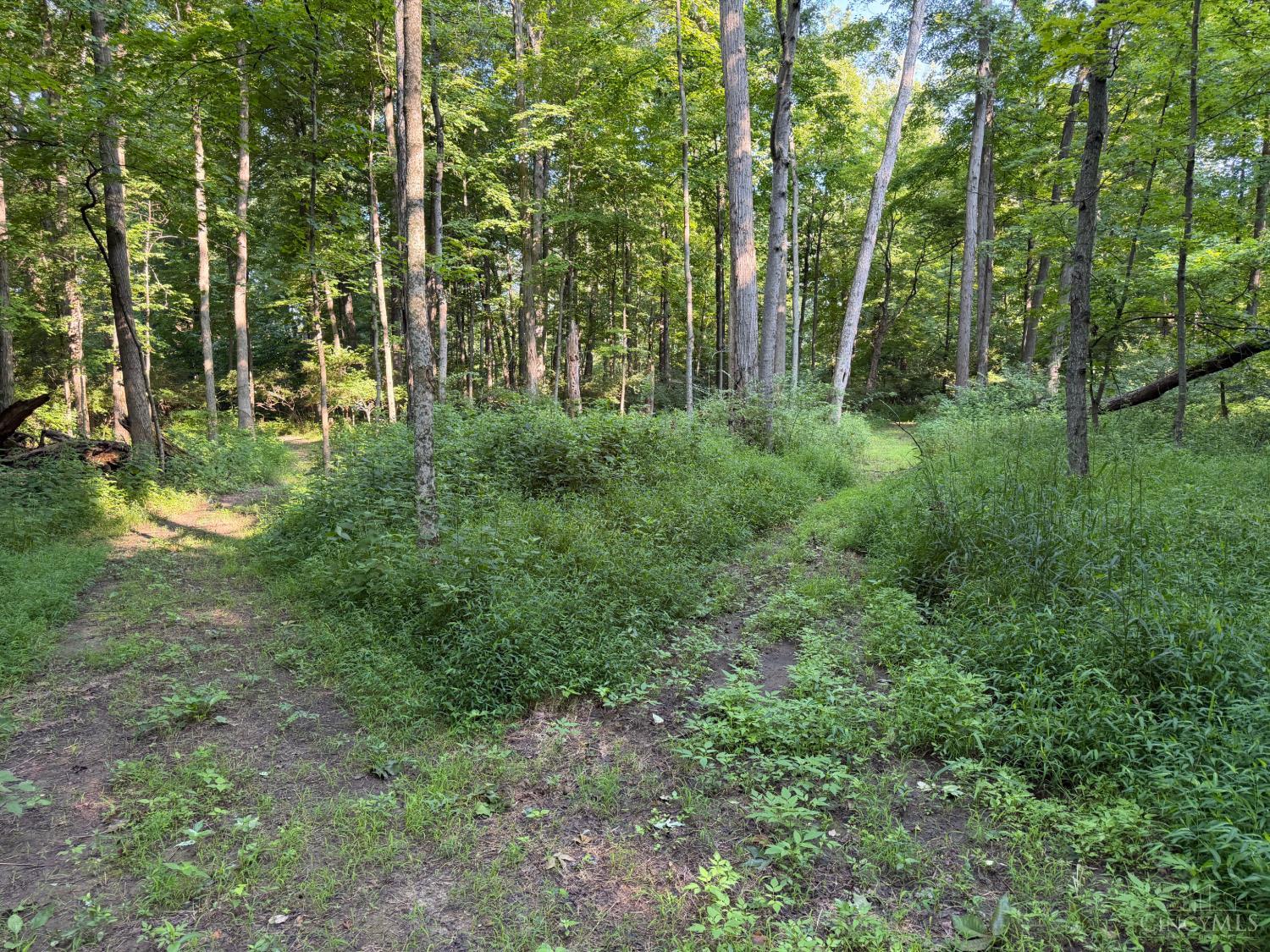 ac Hatt Swank Road, Maineville, OH, 45140 — photo 19