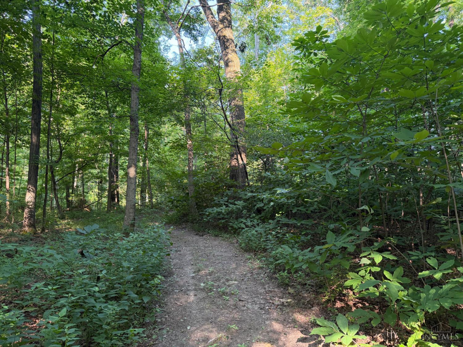 ac Hatt Swank Road, Maineville, OH, 45140 — photo 10