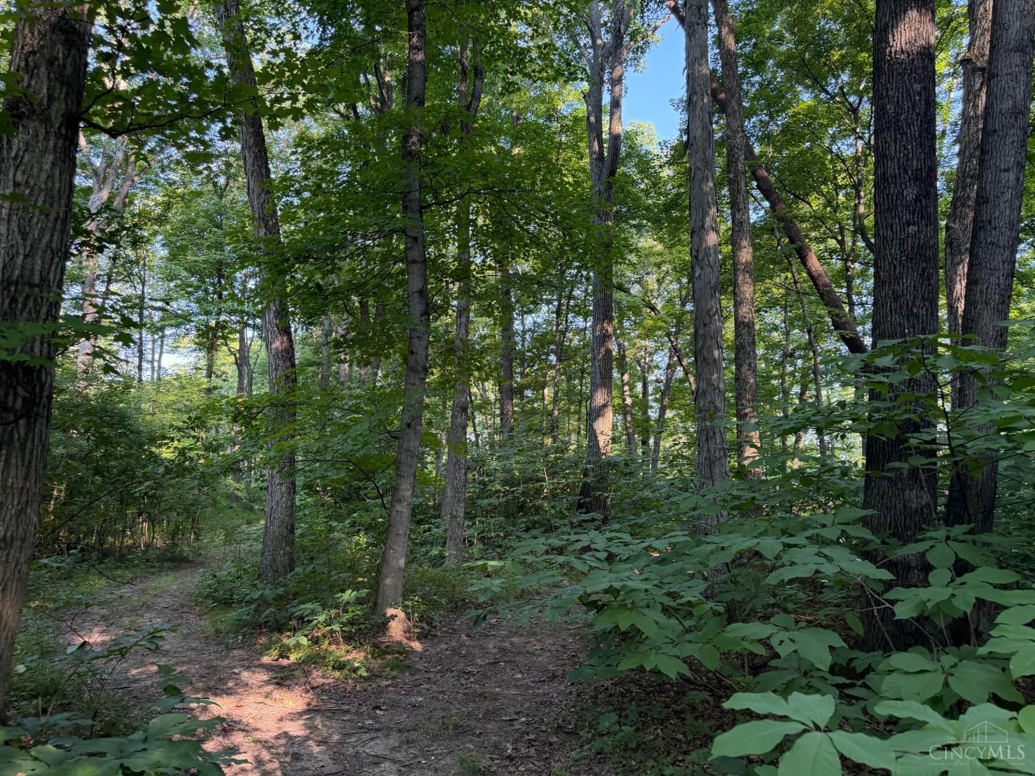 ac Hatt Swank Road, Maineville, OH, 45140 — photo 17