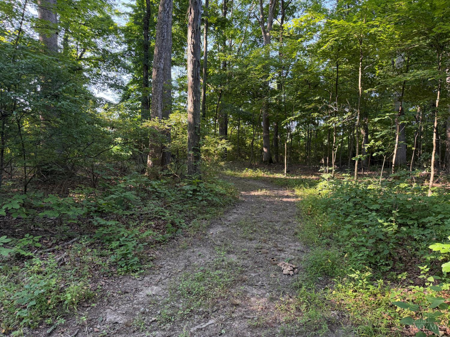 ac Hatt Swank Road, Maineville, OH, 45140 — photo 9