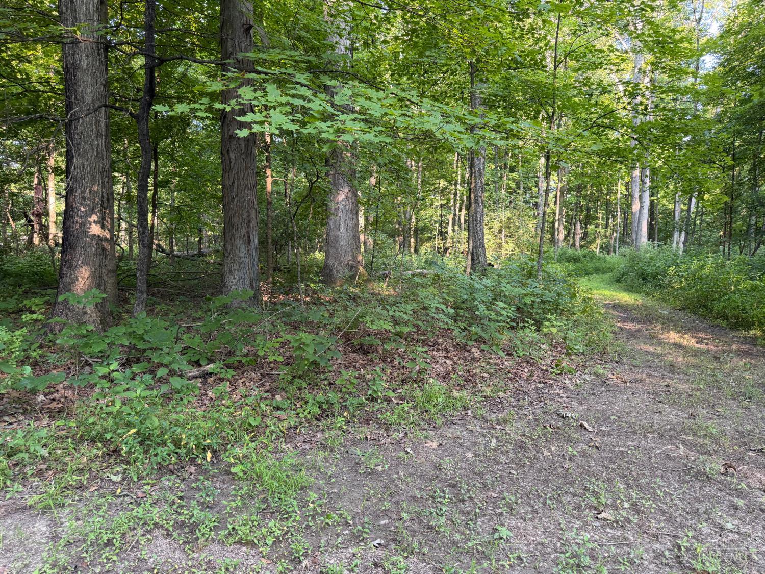 ac Hatt Swank Road, Maineville, OH, 45140 — photo 7
