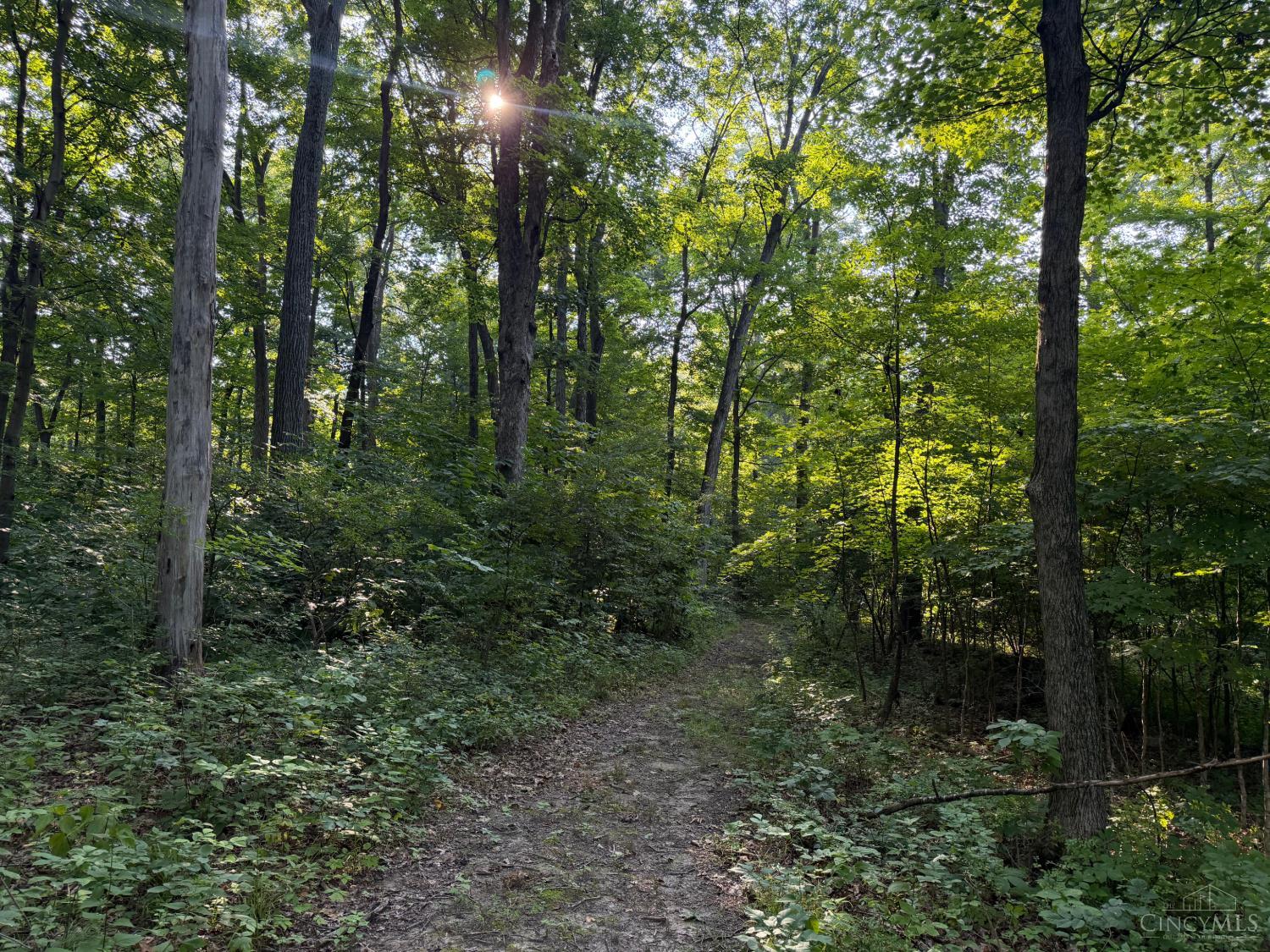 ac Hatt Swank Road, Maineville, OH, 45140 — photo 14