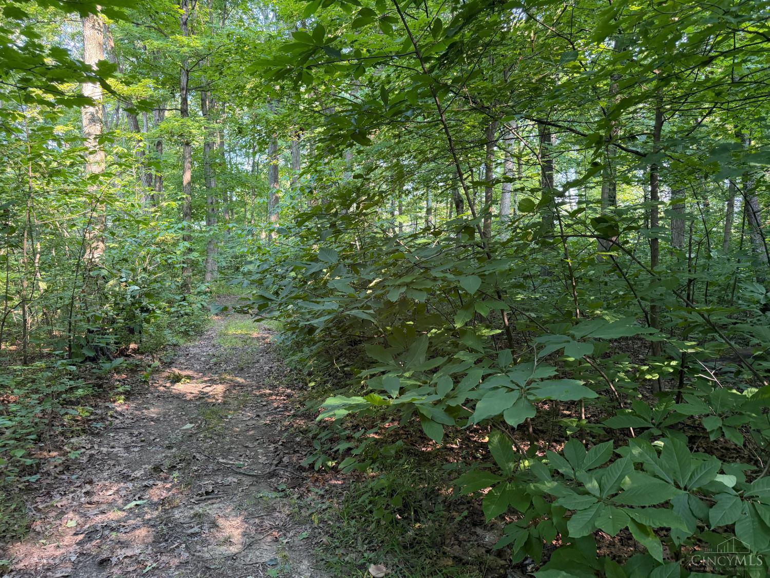 ac Hatt Swank Road, Maineville, OH, 45140 — photo 18