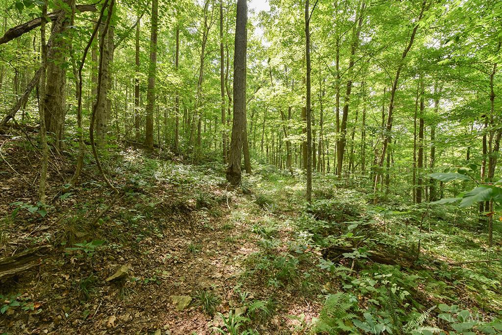 182 Sunfish Creek Road #1, Newton Twp, OH, 45661 — photo 3
