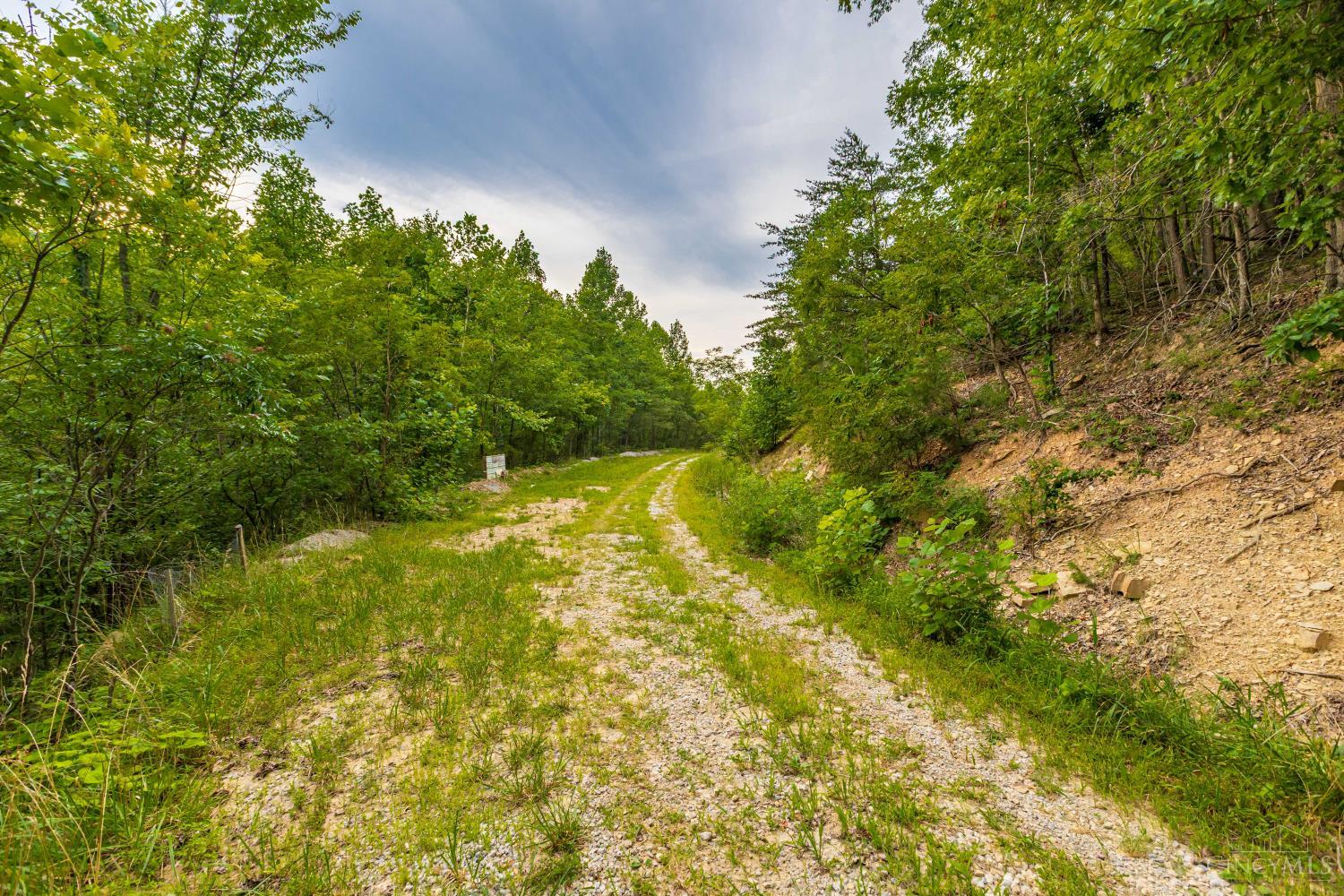 6560 Mt Unger Road, Otway, OH, 45657 — photo 44