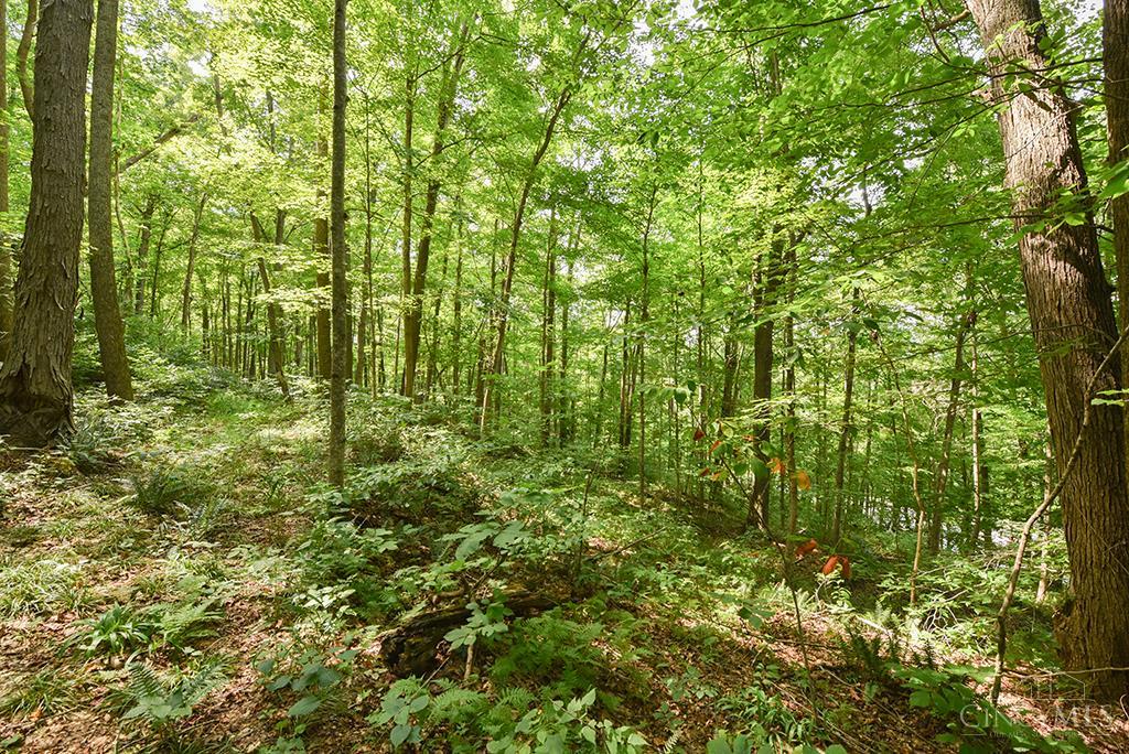 182 Sunfish Creek Road #1, Newton Twp, OH, 45661 — photo 4