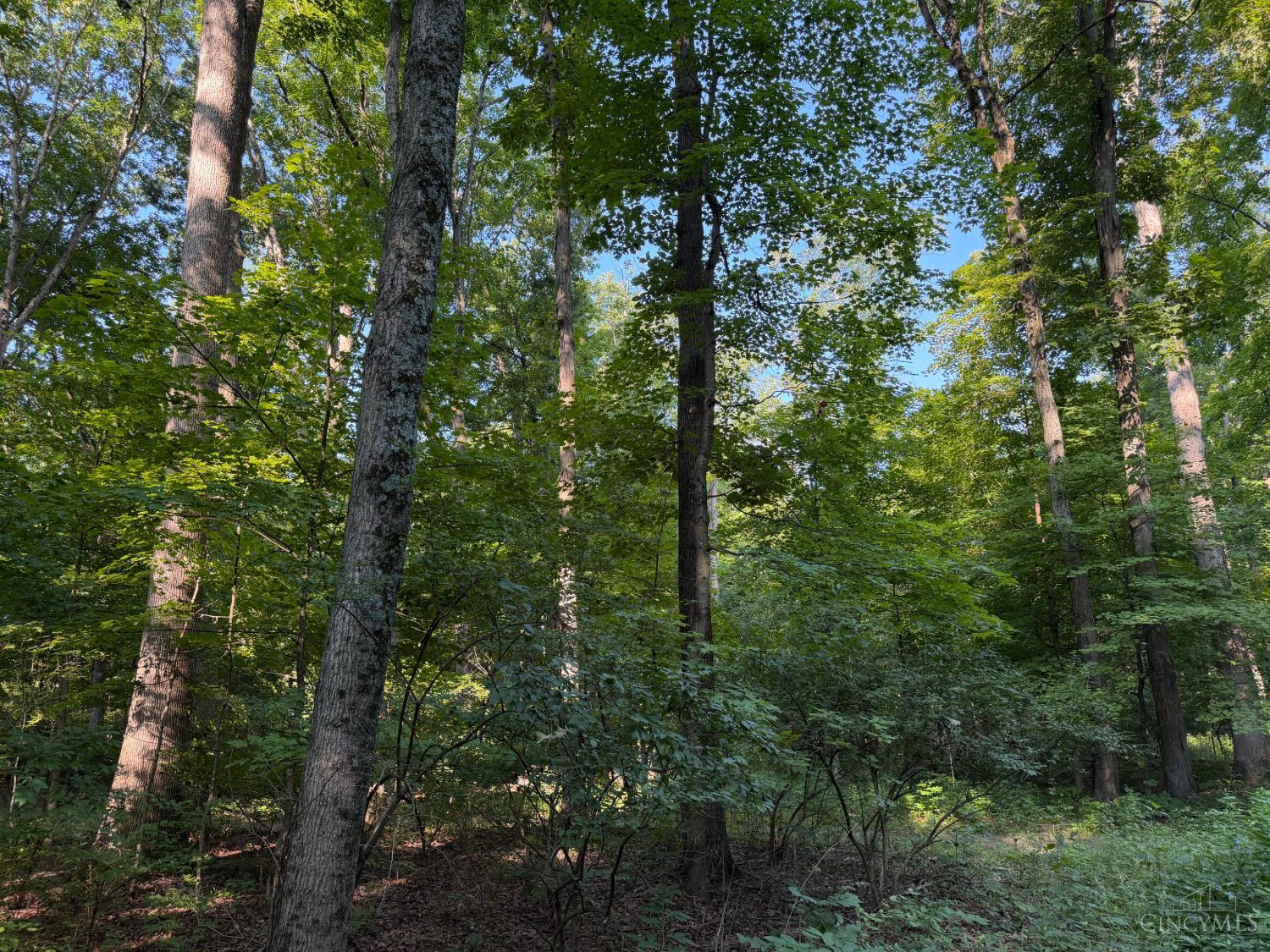 ac Hatt Swank Road, Maineville, OH, 45140 — photo 20