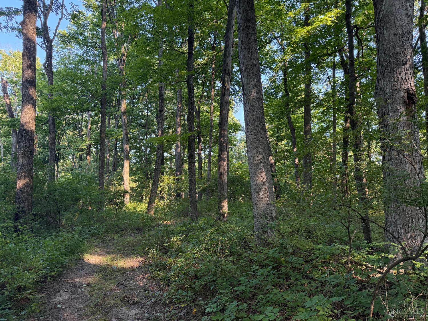 ac Hatt Swank Road, Maineville, OH, 45140 — photo 12