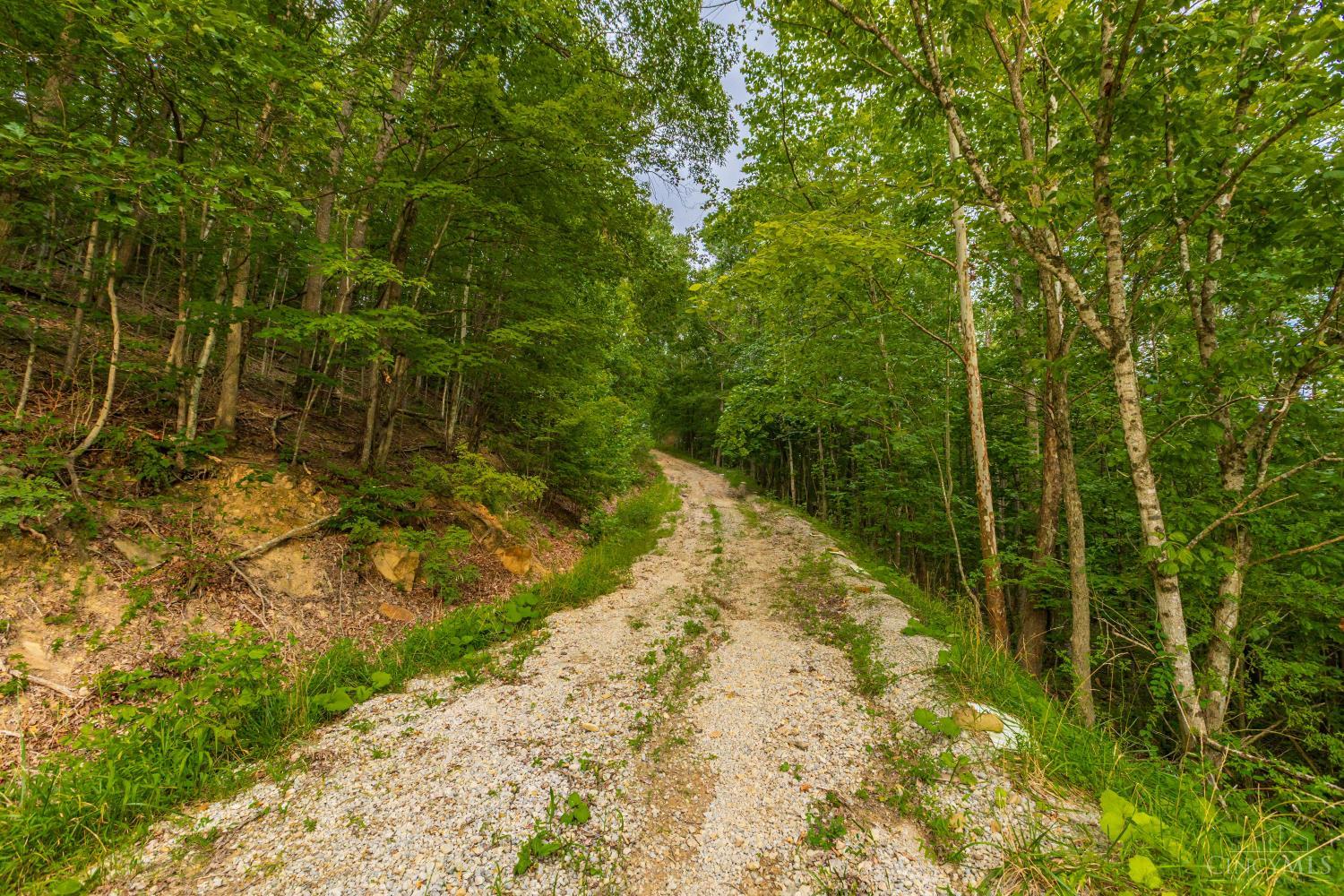 6560 Mt Unger Road, Otway, OH, 45657 — photo 50