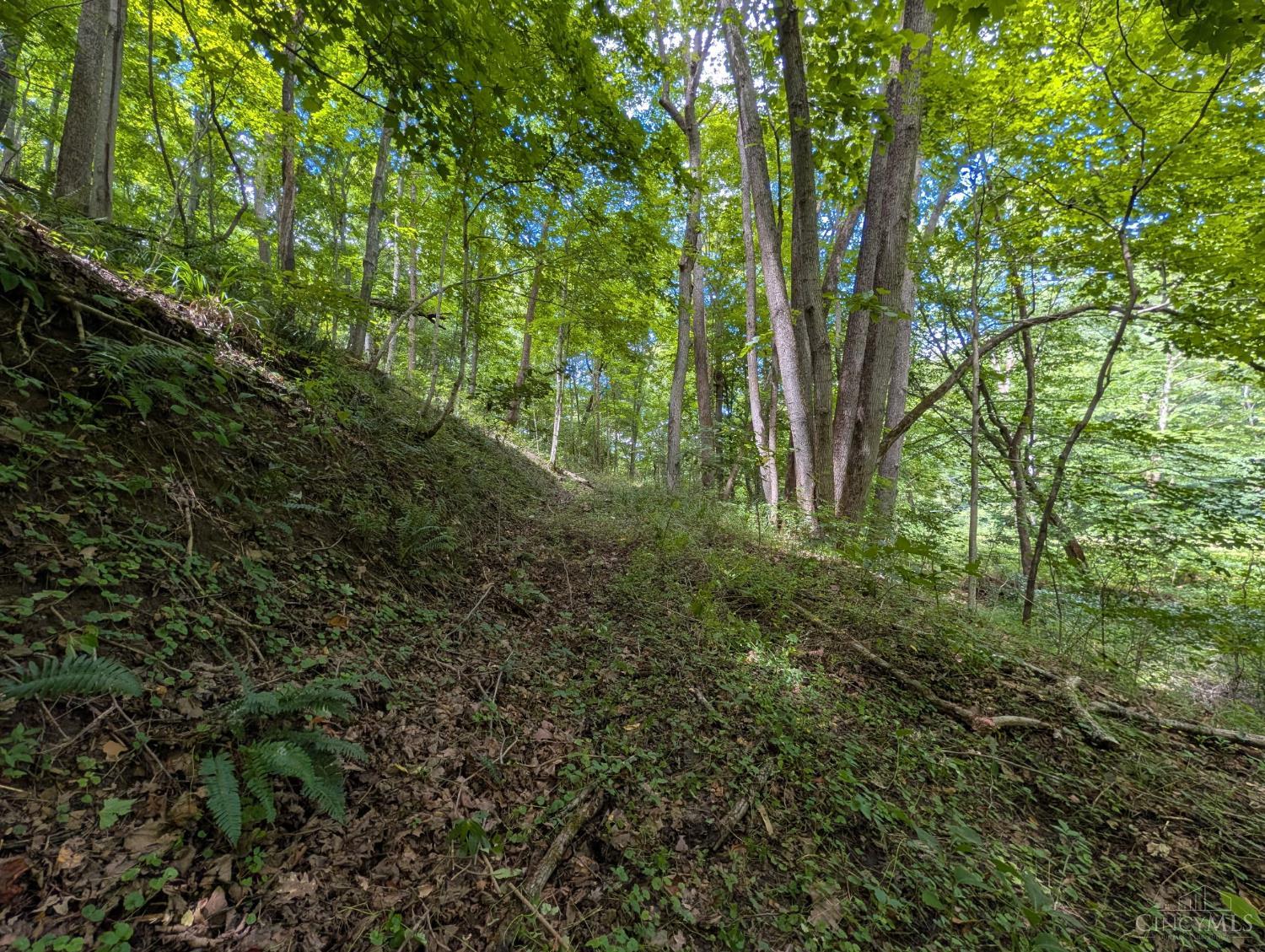 8.307 Ac Churn Creek Road, Jefferson Twp, OH, 45616 — photo 9