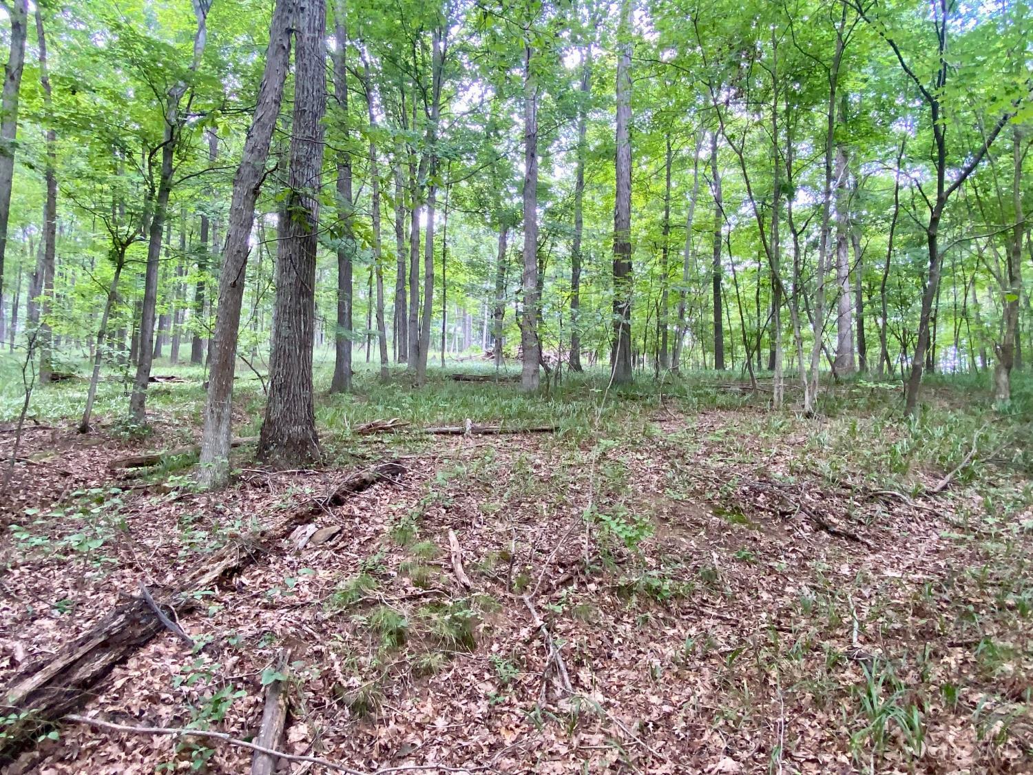 206 Thelma Lane, Blue Creek, OH, 45616 — photo 11