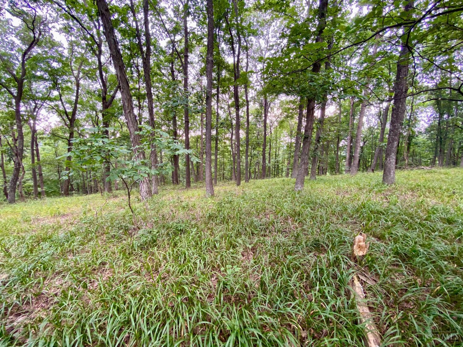 206 Thelma Lane, Blue Creek, OH, 45616 — photo 23