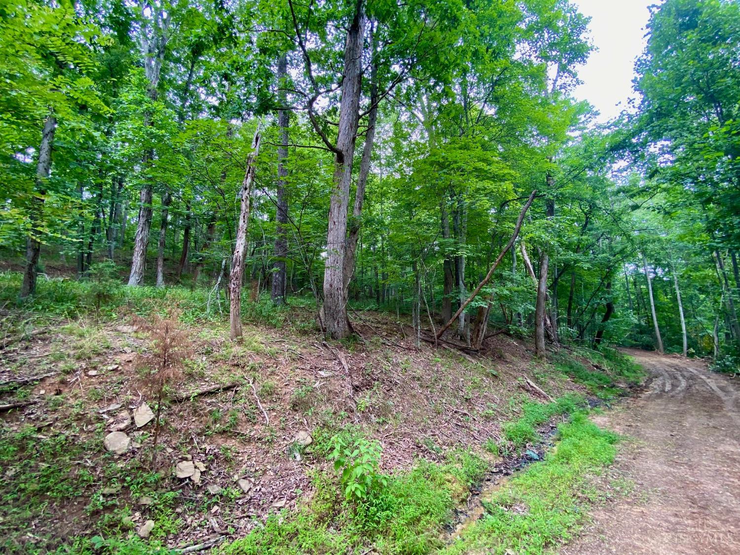 206 Thelma Lane, Blue Creek, OH, 45616 — photo 13