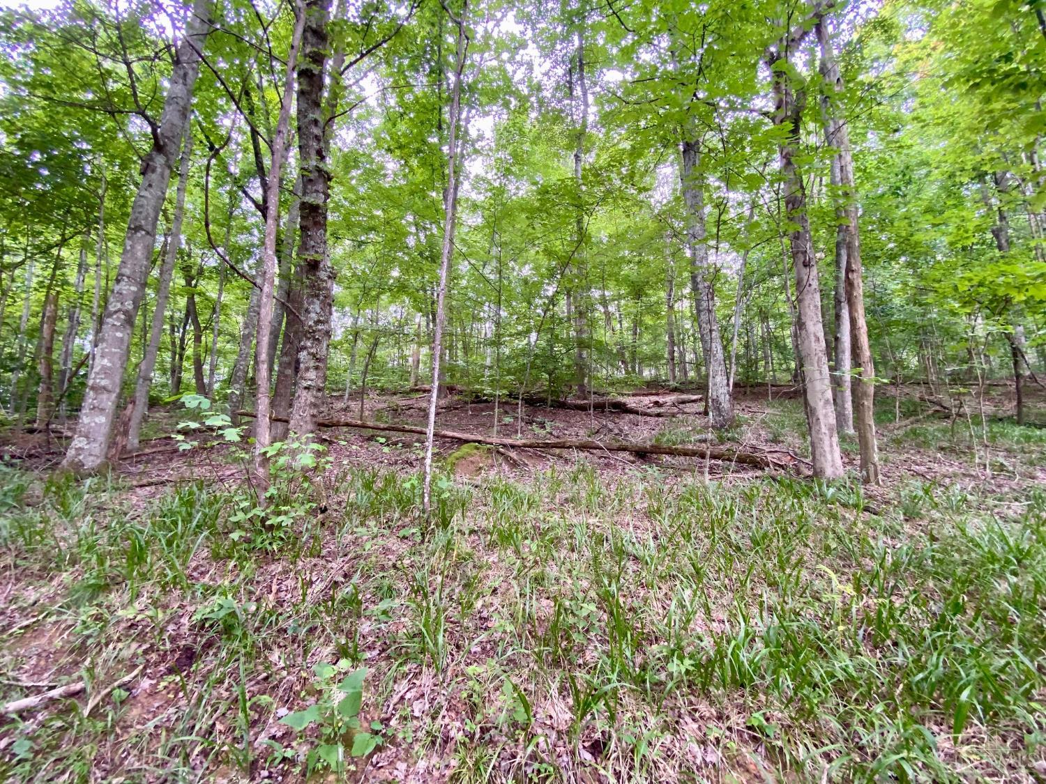 206 Thelma Lane, Blue Creek, OH, 45616 — photo 15