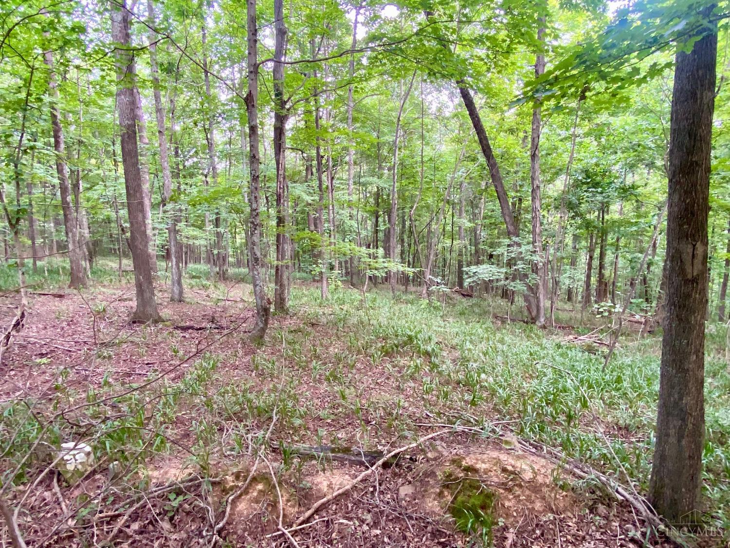 206 Thelma Lane, Blue Creek, OH, 45616 — photo 14