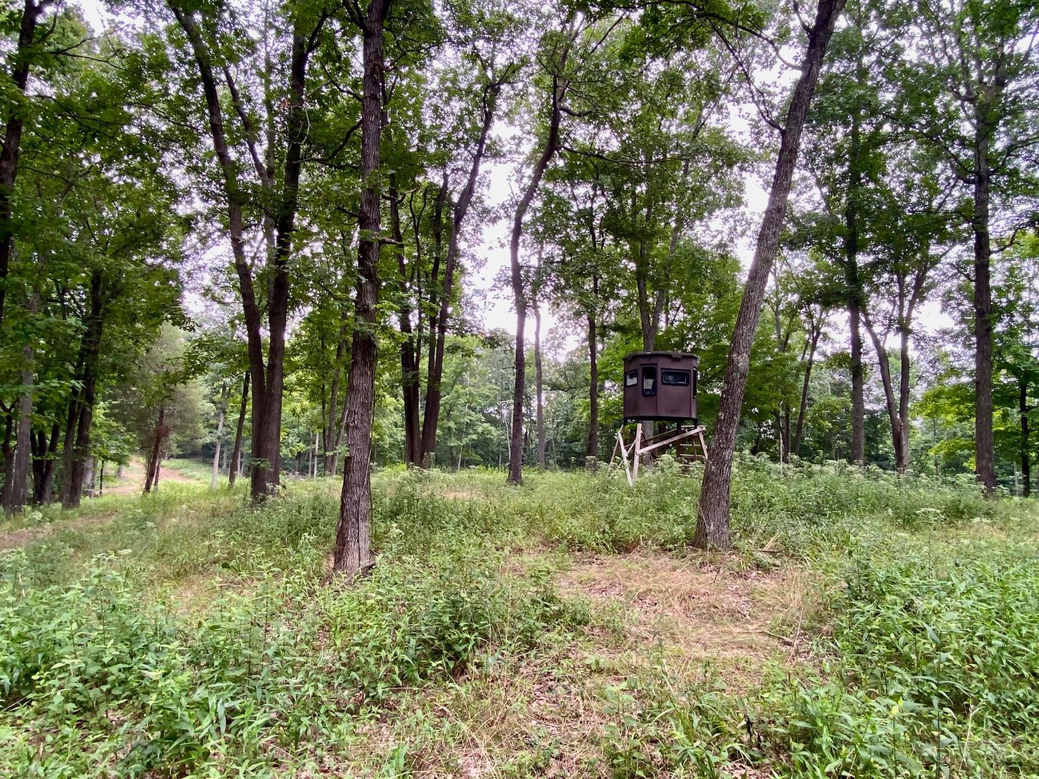 206 Thelma Lane, Blue Creek, OH, 45616 — photo 20